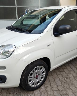 Fiat Panda 1.2 69CV Easy
