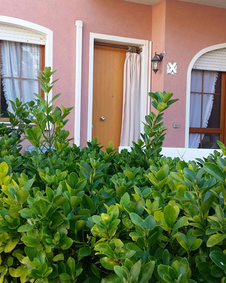 Casa, giardino privato, posto spiaggia compreso