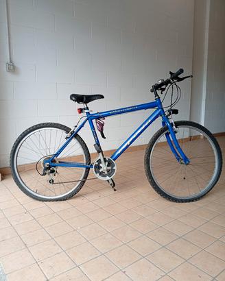 Mountain bike 