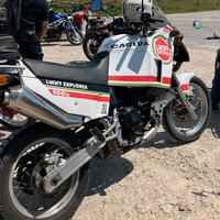 Regina Dakar