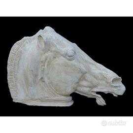 Testa di cavallo in gesso