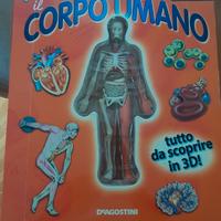 Imparare il corpo umano in 3D