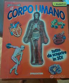 Imparare il corpo umano in 3D