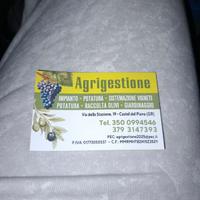 Ditta di agricoltura