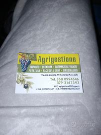 Ditta di agricoltura