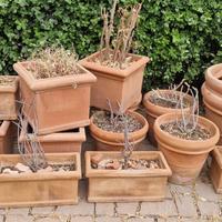 Vasi in terra cotta
