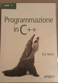 Libro di programmazione in C++
