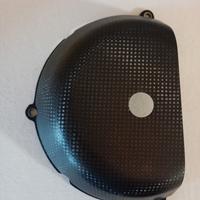 coprifrizione Ducati in carbonio 