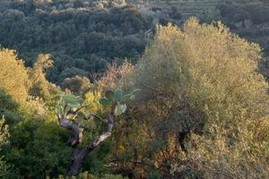 Terreno in campagna