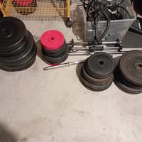 pesi palestra 
