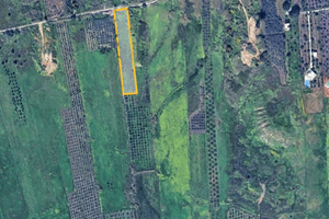 Terreni c/da Belice/Bresciana