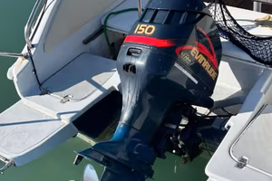Evinrude 150 cv E150FPL
