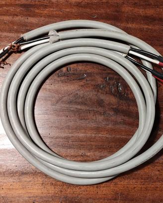 Coppia cavi di potenza Monster cable M1