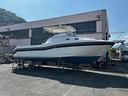 boston-whaler-boston-305-conquest-2005-