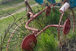 Ranghinatore stellare 