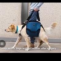 imbracatura di supporto 