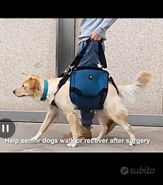 imbracatura di supporto 