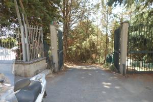 Magazzino in via F. Paladini