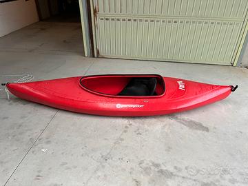 Kayack perception kiwi