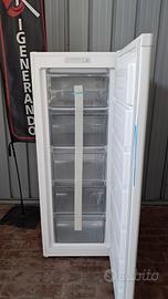 CONGELATORI VERTICALE  NUOVO DIFFETO  STETICO 