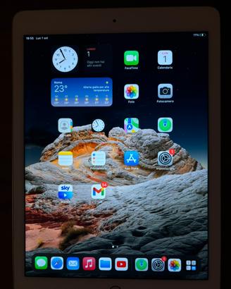 IPad Air 2 Wi-Fi 32gb Gold