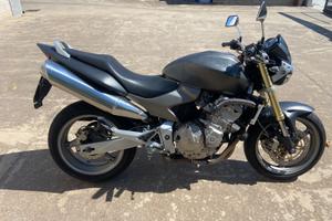 Honda hornet
