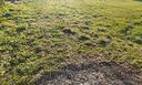 terreno-di-1000-m²-a-carre
