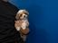 Immagine 1