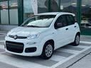 fiat-panda-1-2-easy-50-000km
