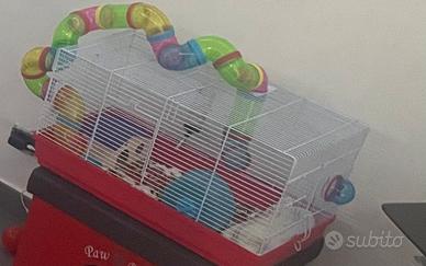 Gabbia grande per criceti