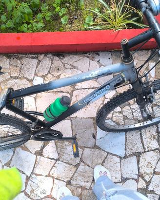 Mountain bike 