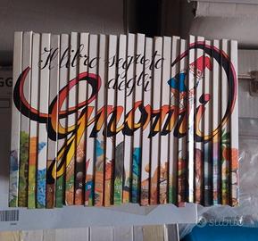 Collezione Gnomi