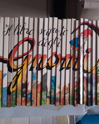 Collezione Gnomi