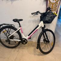 Bicicletta Elettrica Argento Omega