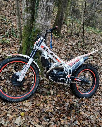 Beta evo 300 