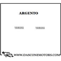 adesivi argento Tmax 500 80 x 20