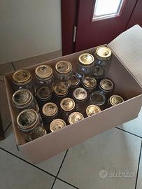 barattoli in vetro con coperchio