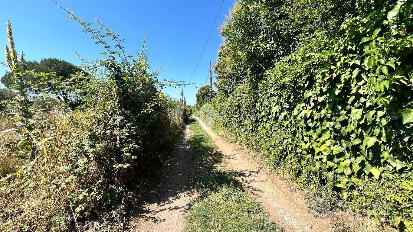 RUSTICO A TREVIGNANO ROMANO - Vista 3