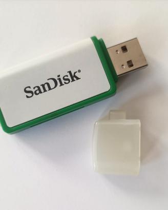 san disk lettore schede
