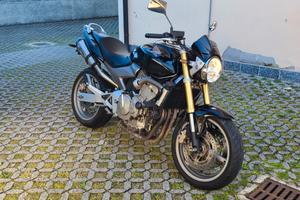 Hornda Hornet 600 anno 2006 impeccabile