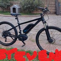 mtb elettrica bosch