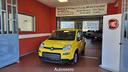 fiat-panda-1-0-firefly-s-s-hybrid-pandina