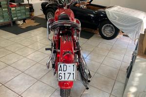 Moto Guzzi nuovo Falcone