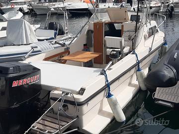 Barca cabinata a Motore