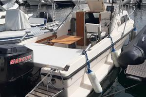 Barca cabinata a Motore