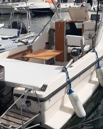 Barca cabinata a Motore