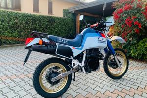 HONDA XL 600 LM Paris Dakar FMI TARGA ORO
