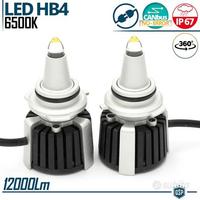 Kit Lampade LED HB4 QUARZO Luce Potente 6500K 55W