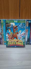 lotto DVD Scooby-Doo 
