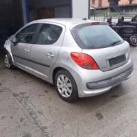 Peugeot 207 1400 td 2006 ricambi